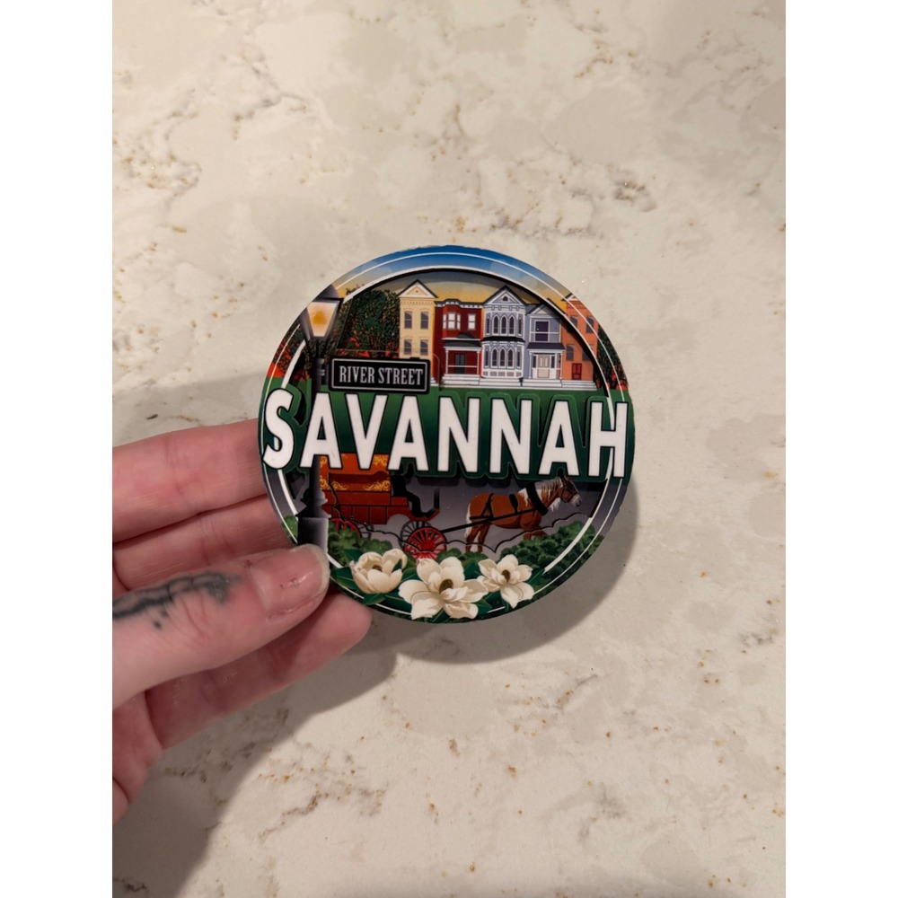 River Street Savannah Georgia 3D Souvenir‎ Magnet Horse Carriage Magnolia Design
